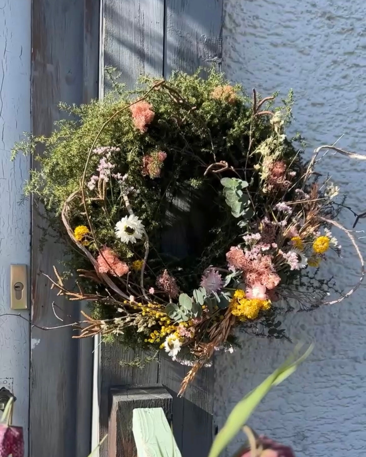 Frühling