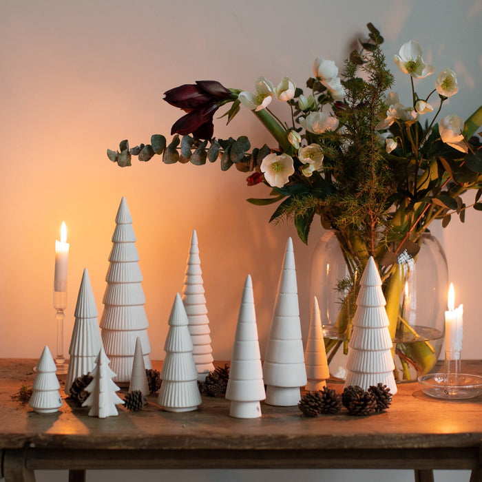 Tannenbaum Granliden