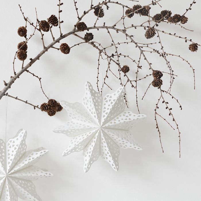 Papier Stern, Snowflake