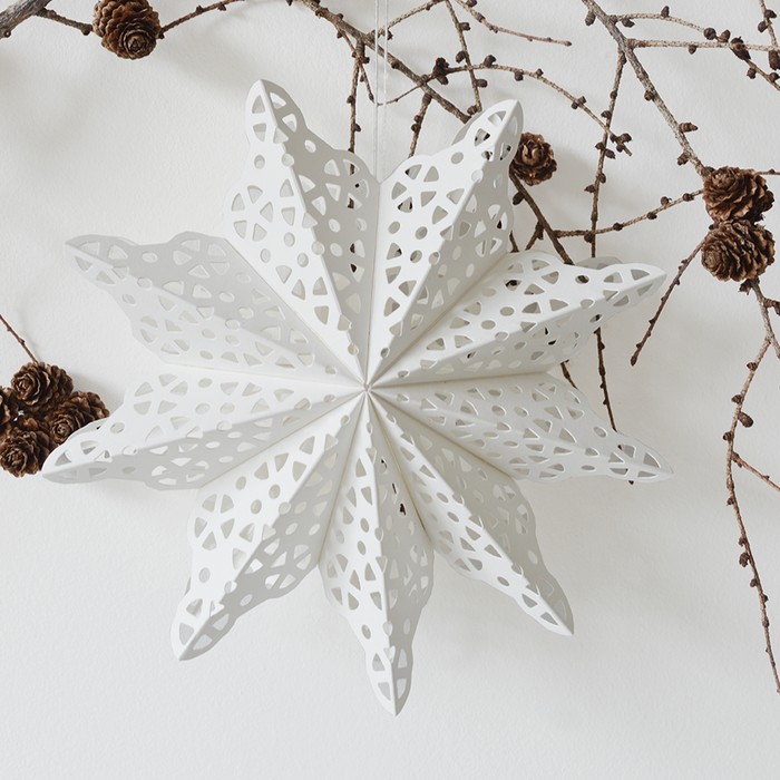 Papier Stern, Snowflake